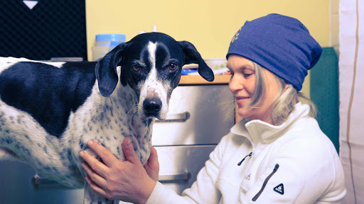 HundePhysiotherapie Carola Peters