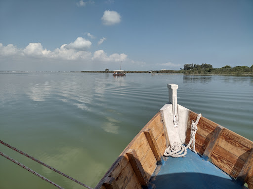 Paseos en barca albufera Valencia – El Bessó - Thumbnail
