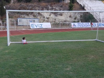 Özer Türk Stadium