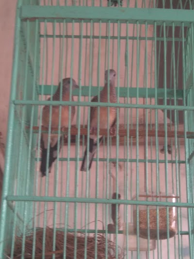 Photos of Warkop Barca