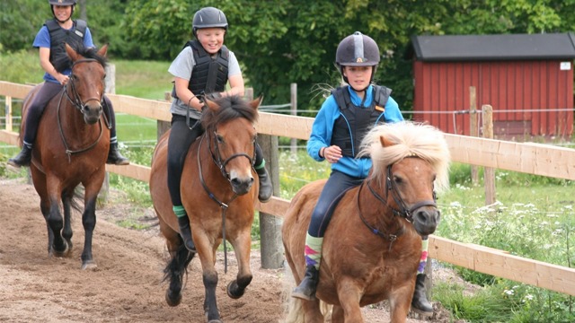Bogesunds Gård & Ridskola