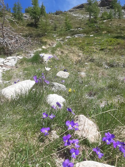 Col Du Lac Blanc