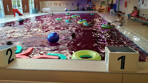 Photo n°8 de Piscine de Somain à Somain (Piscine municipale)