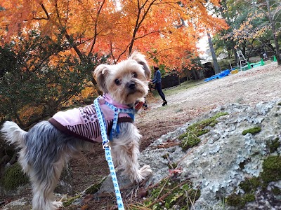 Photos of Gifu Sogi Koen
