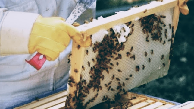 Opinii despre Cretan traditional products în Κίσσαμος - Παντοπωλείο