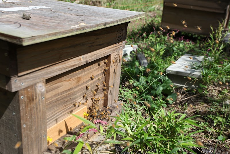 はち工房 こうけつ