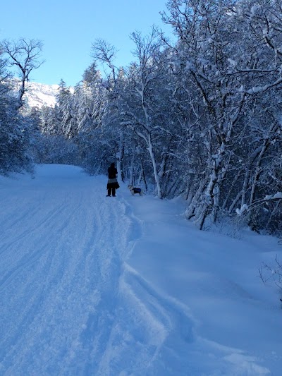 Albert Moser Campground