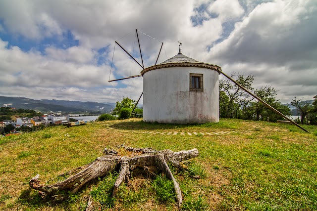 Ortigueira