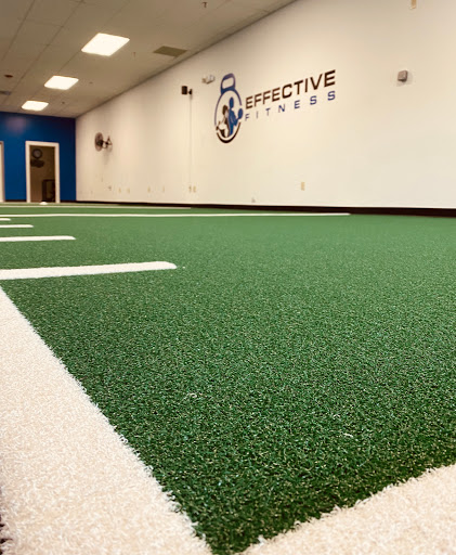 EFFECTIVE FITNESS, LLC - Thumbnail