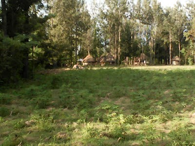Photos of Mawazo