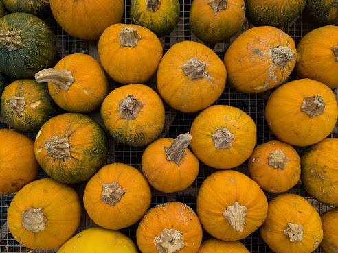 Abundance Farm by null