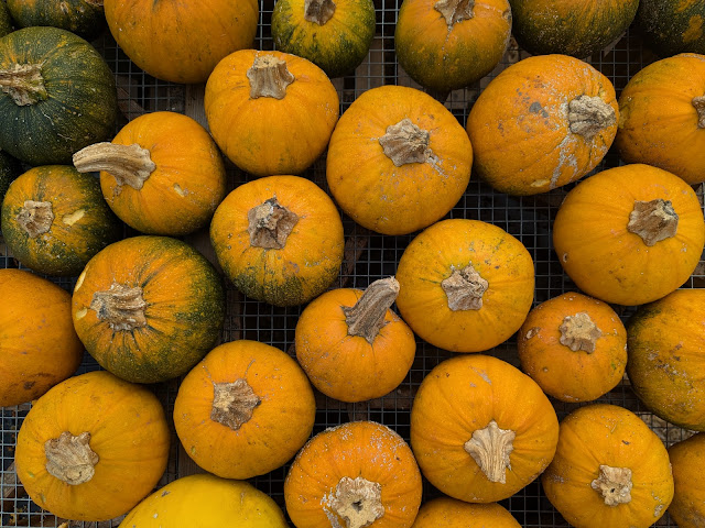 Abundance Farm by null