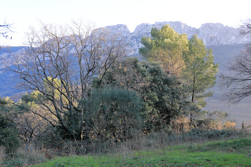 Chemin du Cayron Gallery - France
