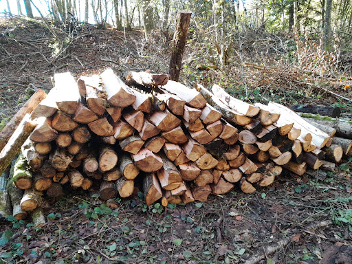 Photo de BR Garden Paysagiste