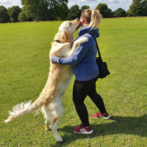 Paws Up Pet Care - Thumbnail