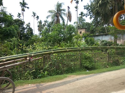 Photos of Agro Nursery