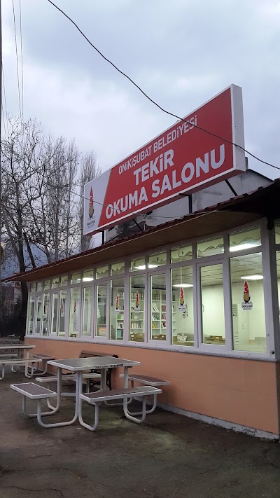 Tekir Okuma Salonu