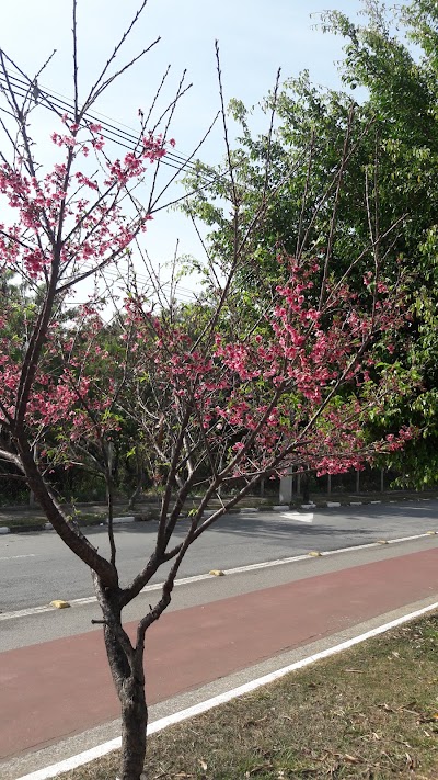 Photos of Hospital Geral de Guarulhos