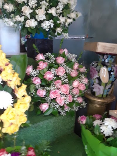 Evergreen Florist