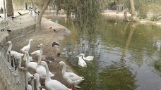 Madni Park dera-ghazi-khan