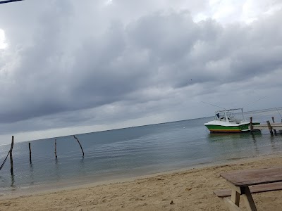 Photos of Lobster Pot