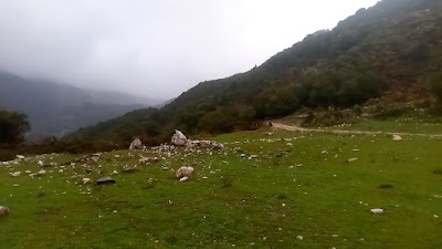 Tatzat albania