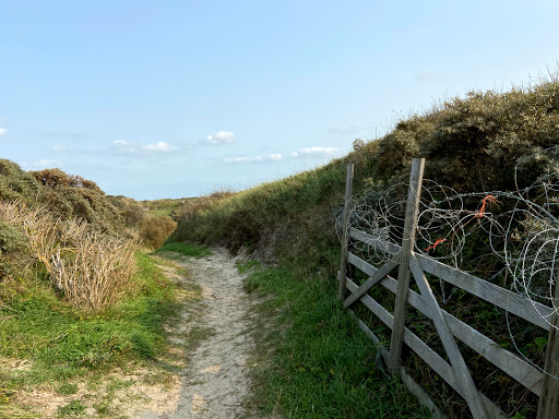 Stichting Dorpshuis "De Wielewaal" - Thumbnail