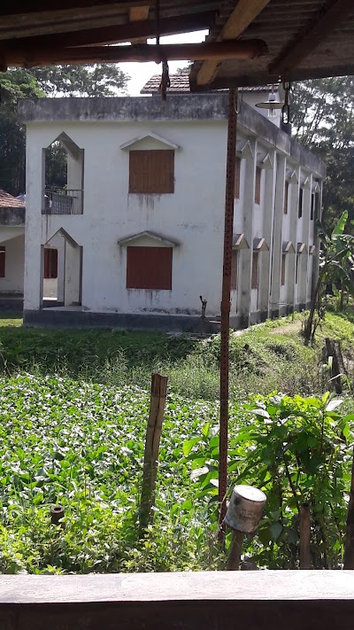 Photos of বাখরের কান্দি