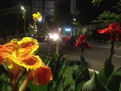 Photos of Taman Impian