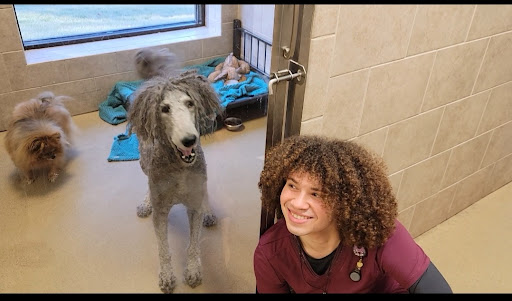 West Madison Veterinary Hospital and Pet Resort Gallery - United States