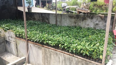 Photos of Kopi Resmi