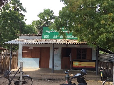 liquor-store
