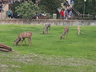 Photos of Fort Worth Zoo
