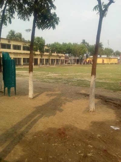 school