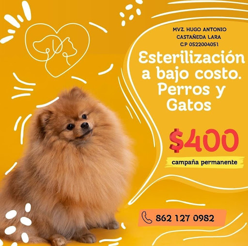 Veterinario 24 horas Nava Coahuila