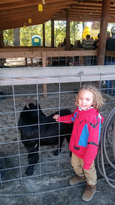 Photos of Holiday Farms