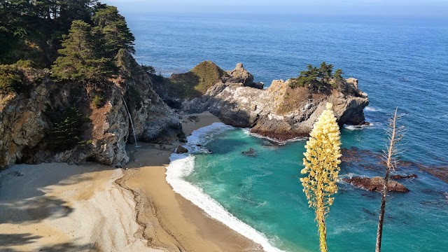 McWay Falls