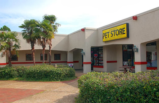 Suncoast Pets - Visual