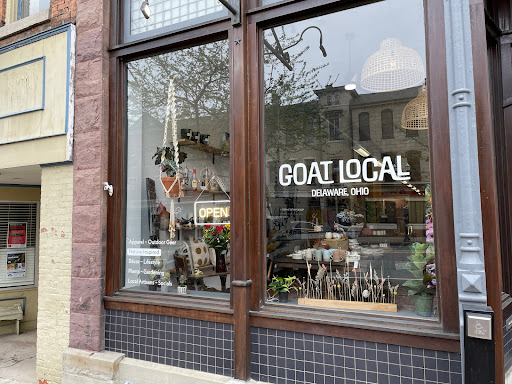 GOAT LOCAL - Visual
