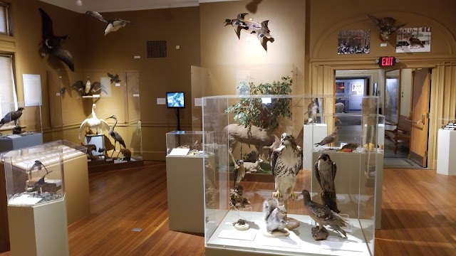 Museum of Natural History and Planetarium