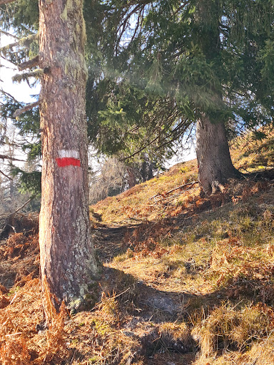 Schimanberger Höhe - Thumbnail