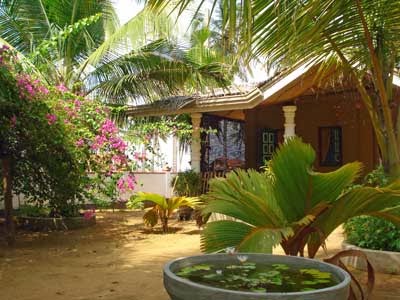 Photos of Rico Shadow Ayurveda & Panchakarma Center