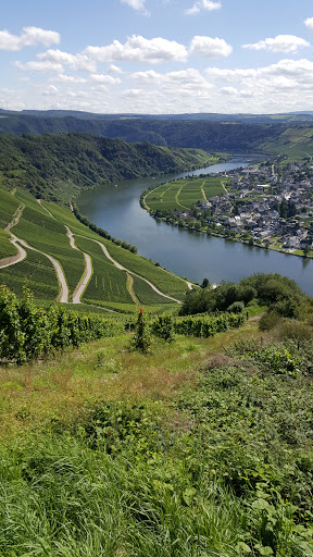 Seniorenzentrum AGO Piesport - Thumbnail