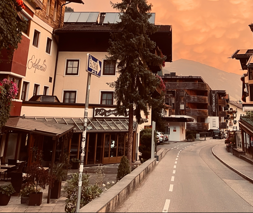 Edelweiss — photo 13
