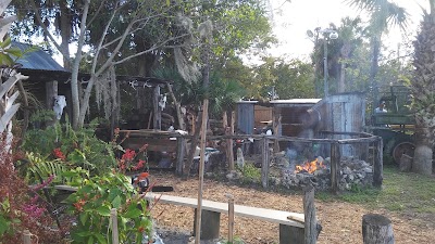 Photos of Coral Sky Amphitheatre