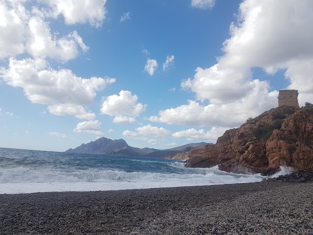 Plage de Porto