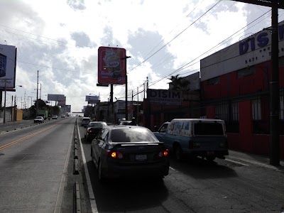 Photos of Maya de Oro Starbus