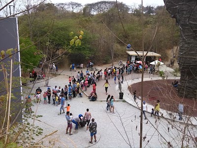 Photos of Zona de Reserva Forestal - Senderos