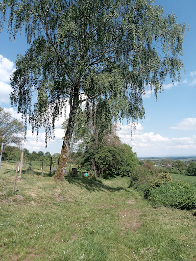 Ellersberg auf 621m ü M. - Thumbnail