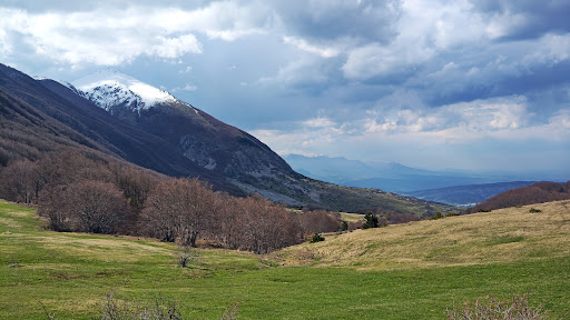Passo San Leonardo Gallery - Italy